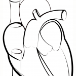 Heart Outline
