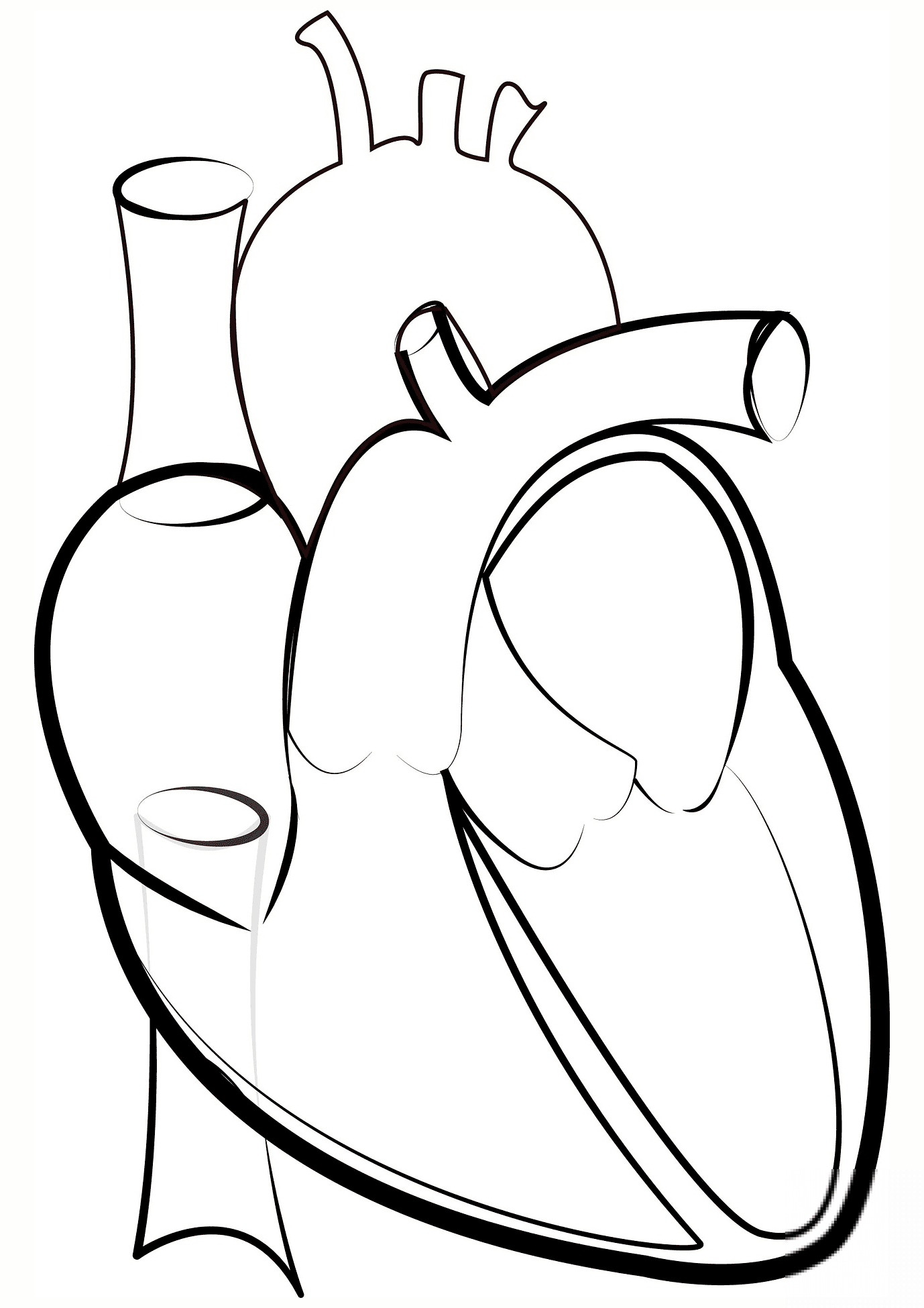 Heart Outline