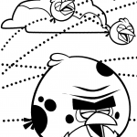 Ptak Terence i Niebiescy