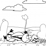 Stado Angry Birds na pustyni