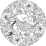 Flamingo Mandala