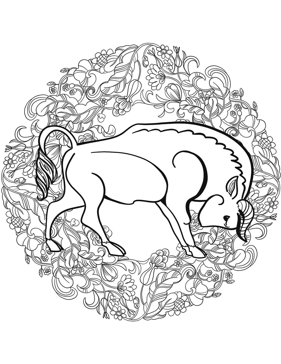 Buffalo Mandala