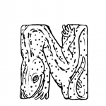 N is for Newt