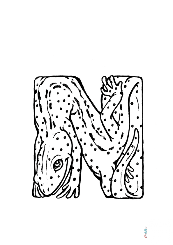 N is for Newt