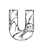 U is for Uakari