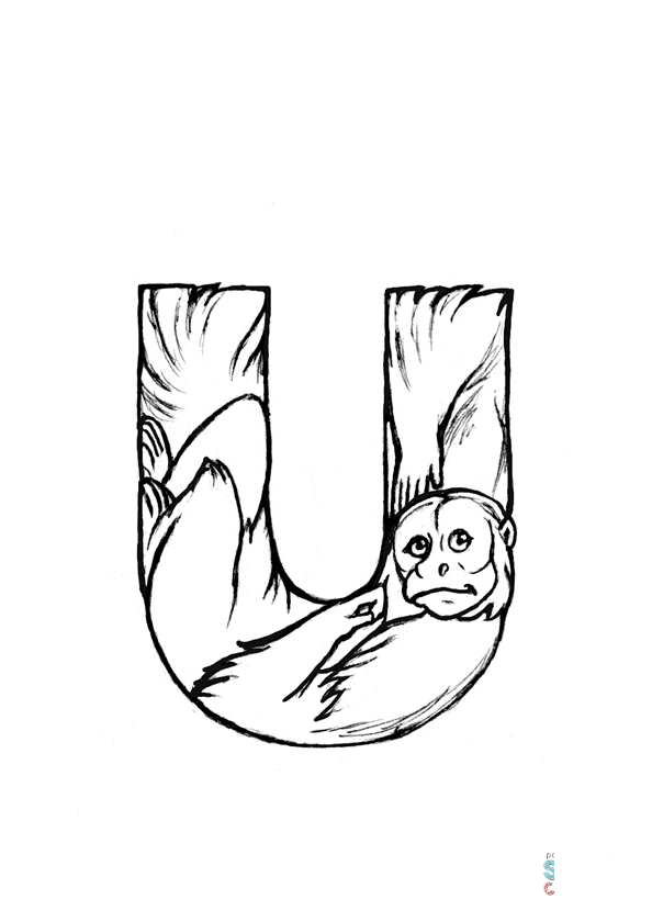 U is for Uakari