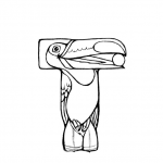 T is for Toucan