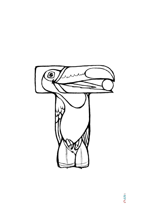 T is for Toucan