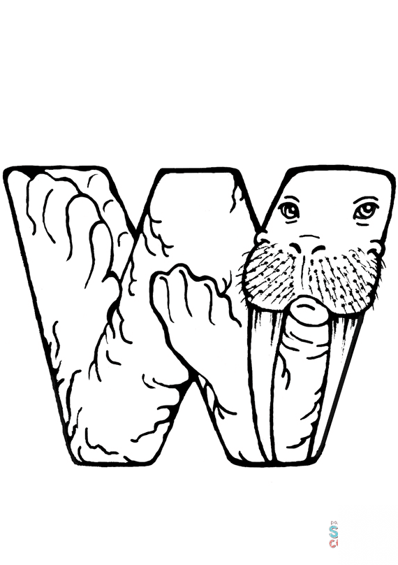 W is for Walrus