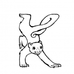 K is for Kinkajou