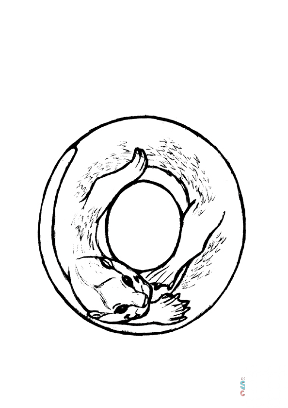 O is for Otter