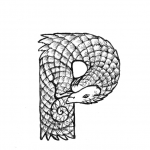 P is for Pangolin