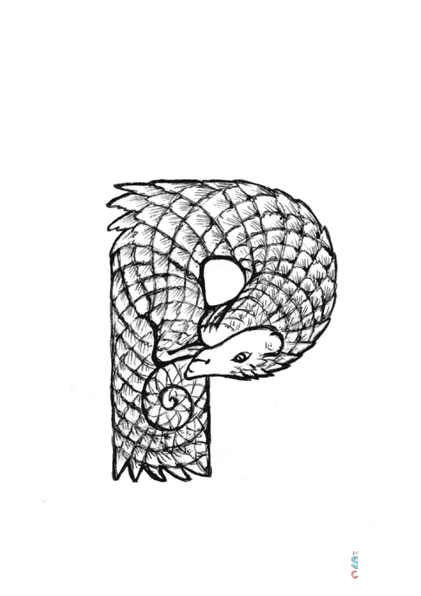 P is for Pangolin
