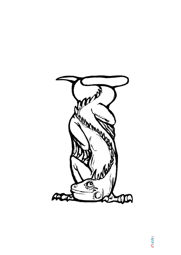 I is for Iguana