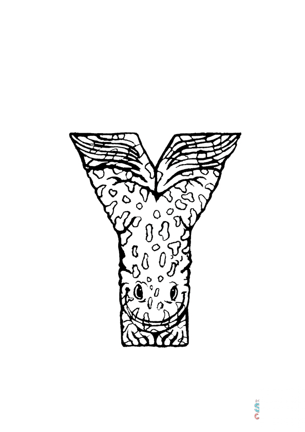 Y is for Yellow Bellied Toad