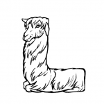 L is for Llama