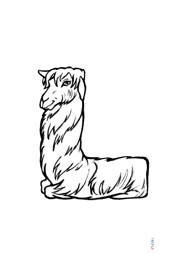 L is for Llama