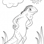 Cartoon Iguana