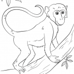 Cartoon Monkey on Tree