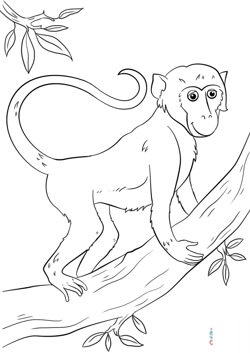 Cartoon Monkey on Tree