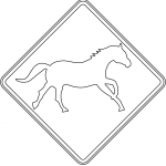 "Brumbies (Wild Horses)" Sign in...