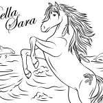 Bella Sara Native Lights