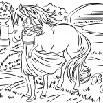 Bella Sara from Sunflower