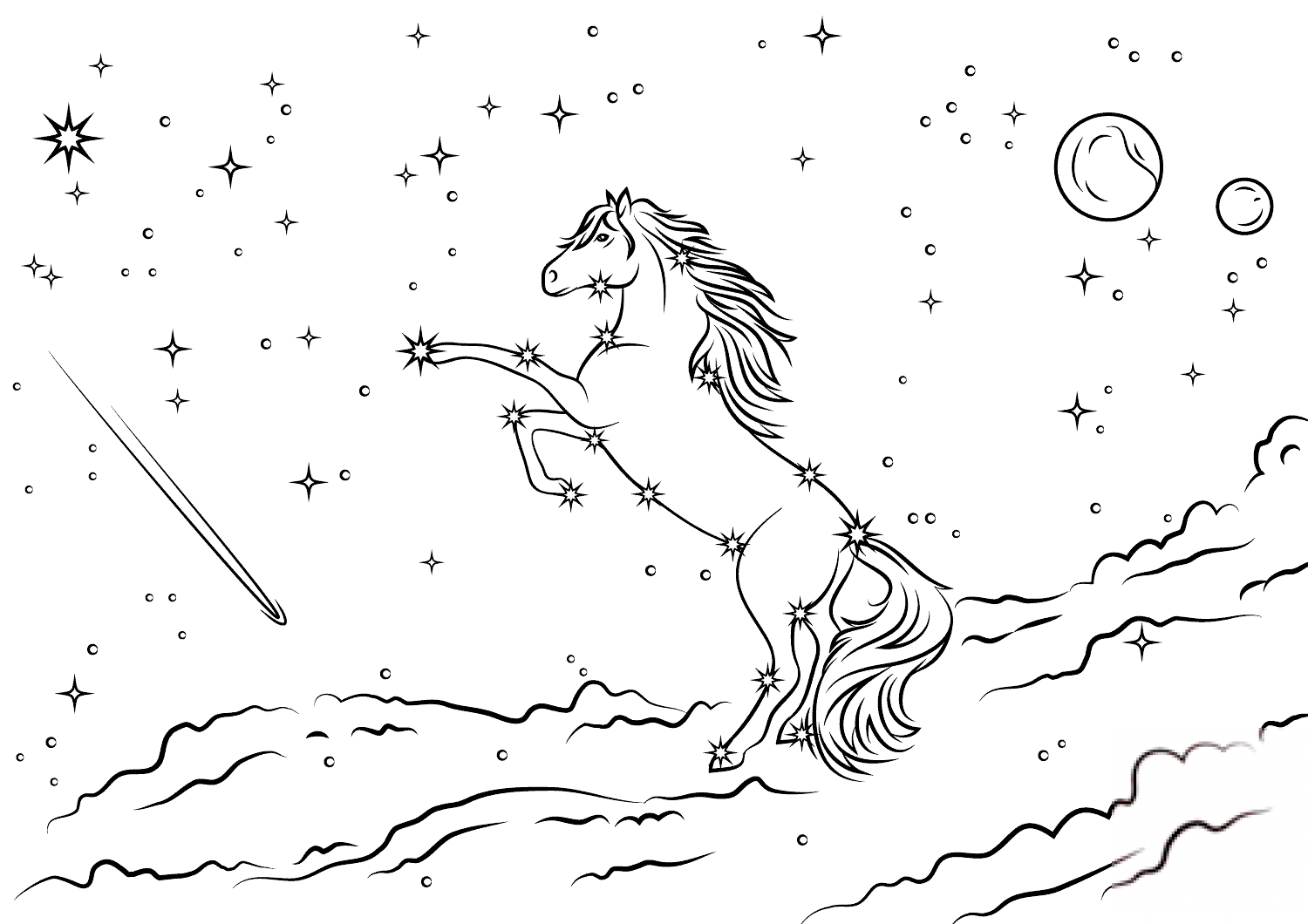 Bella Sara Starlights