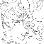 The Largest Egg Broke and a New...