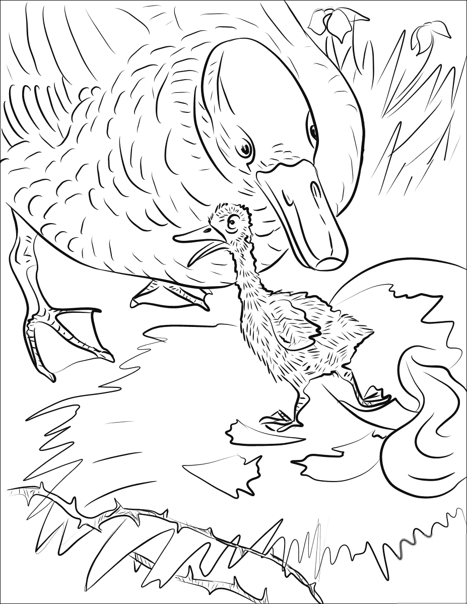 kolorowanka Brzydkie kaczątko