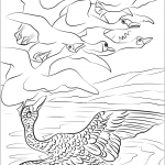 The Duckling Sees Some Migrating Swans