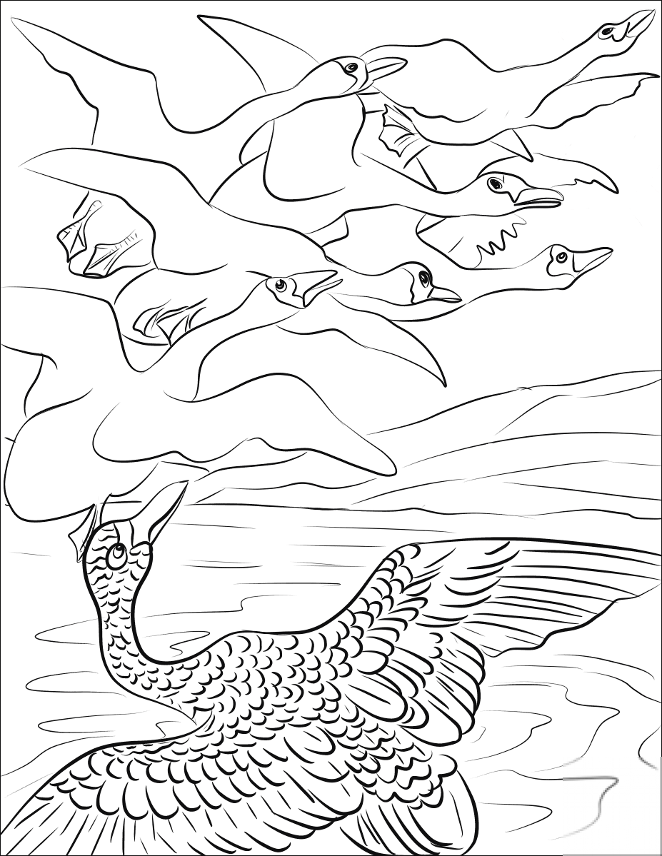 The Duckling Sees Some Migrating Swans