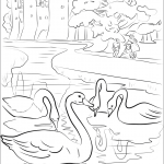 The Old Swans Bowed Their Heads...