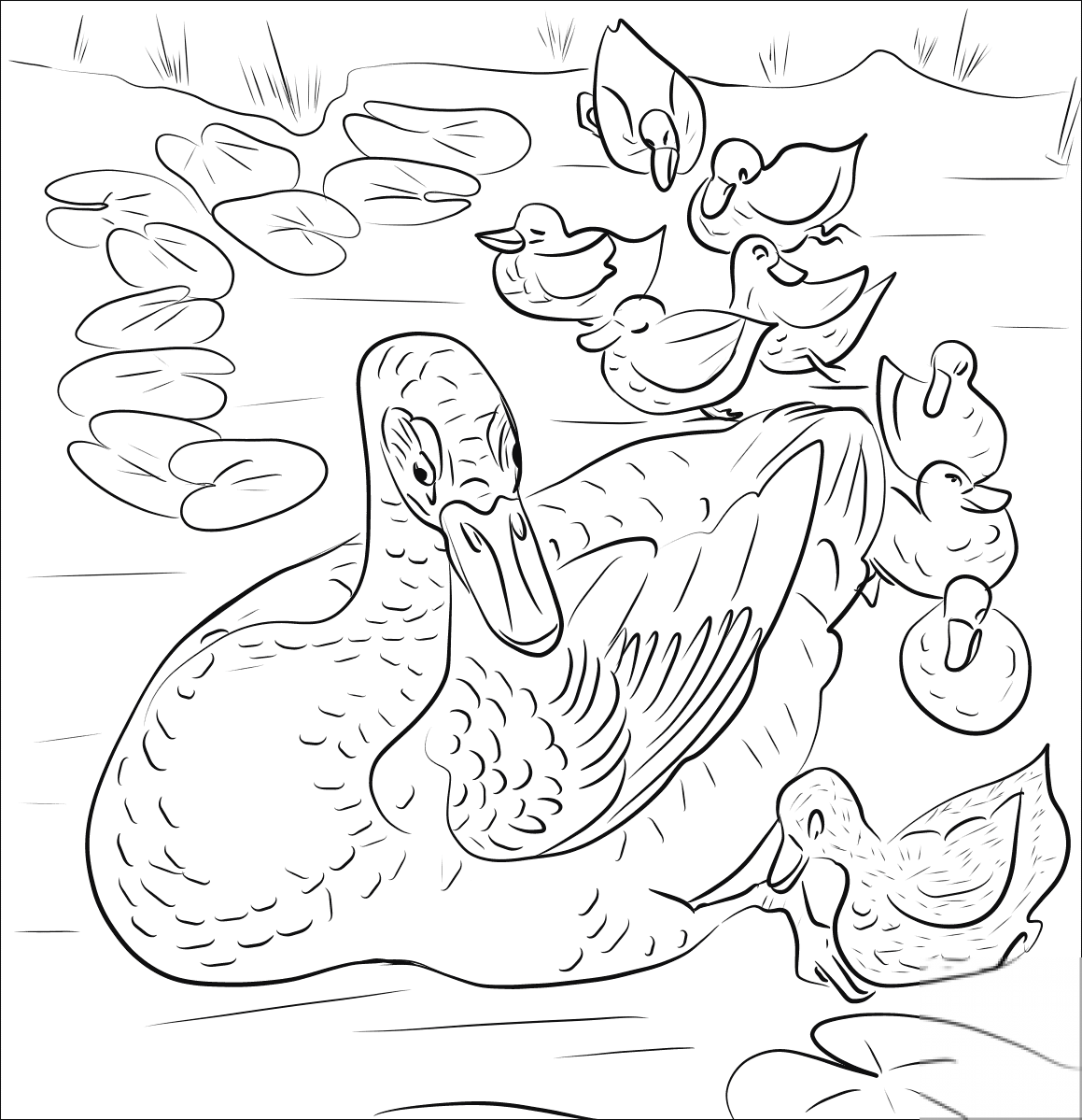 Mother Duck with Ducklings