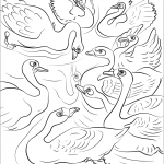 The Ugly Duckling Throw Himself at...