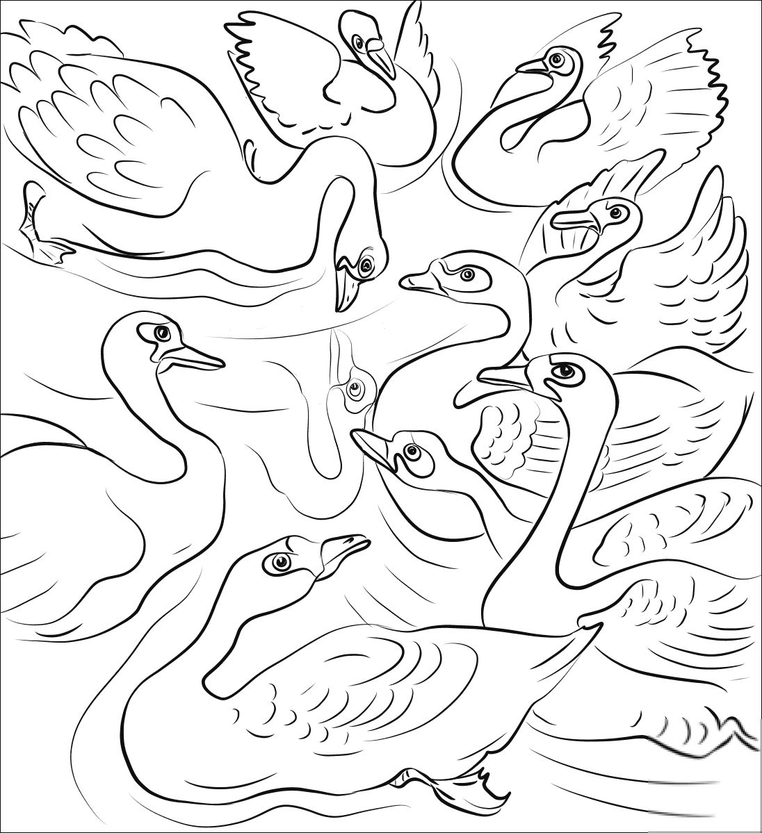 The Ugly Duckling Throw Himself at...