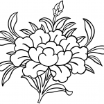 8 Signs: Padma Or Lotus