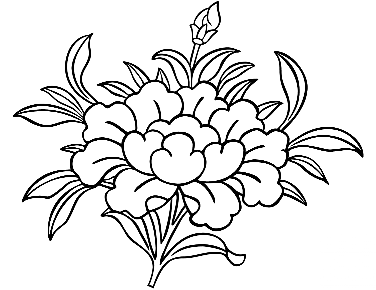 8 Signs: Padma Or Lotus