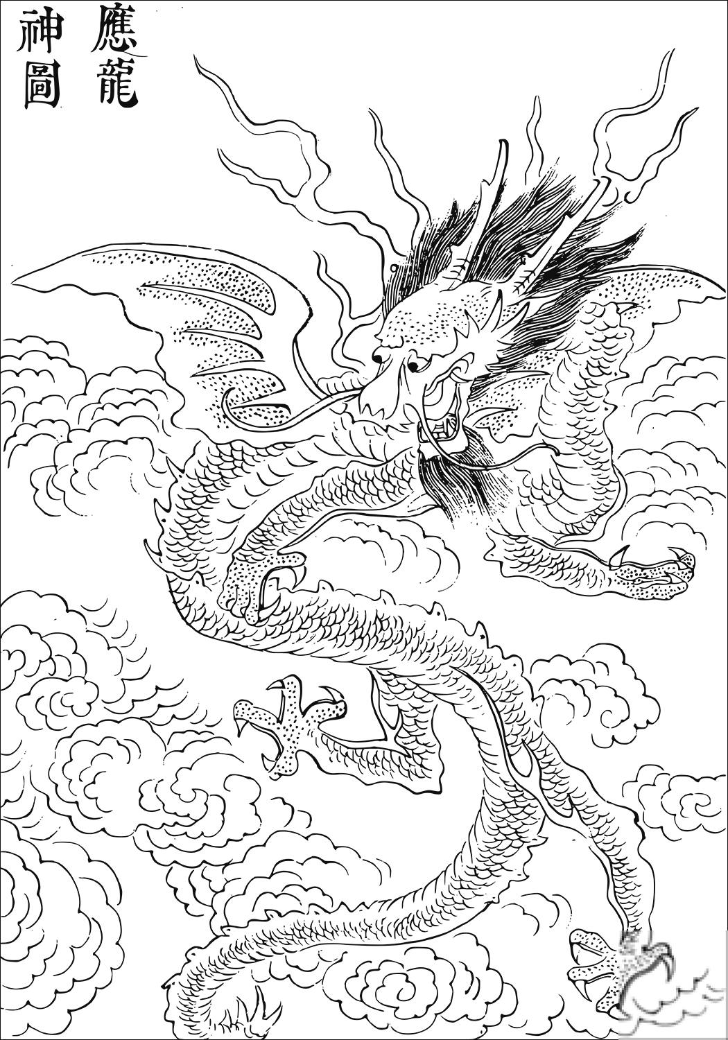 Chinese Dragon from Imperial...