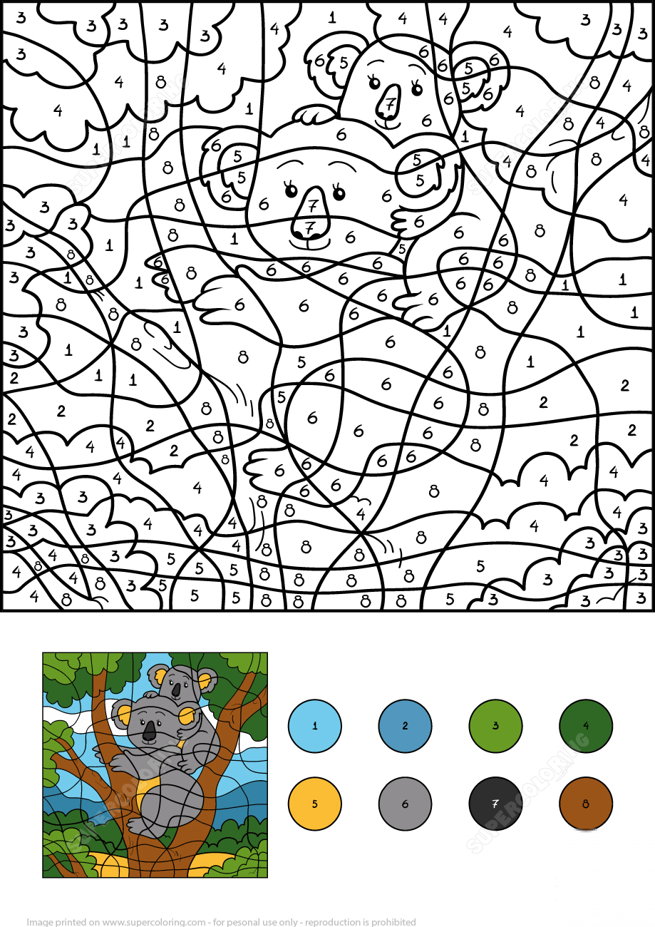 Koala Color by Number