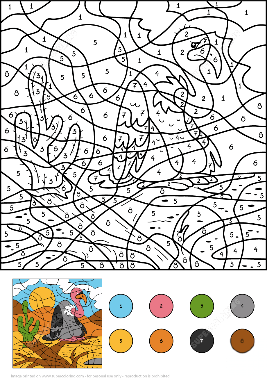 Vulture Color by Number