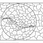 Pliosaur Color by Number