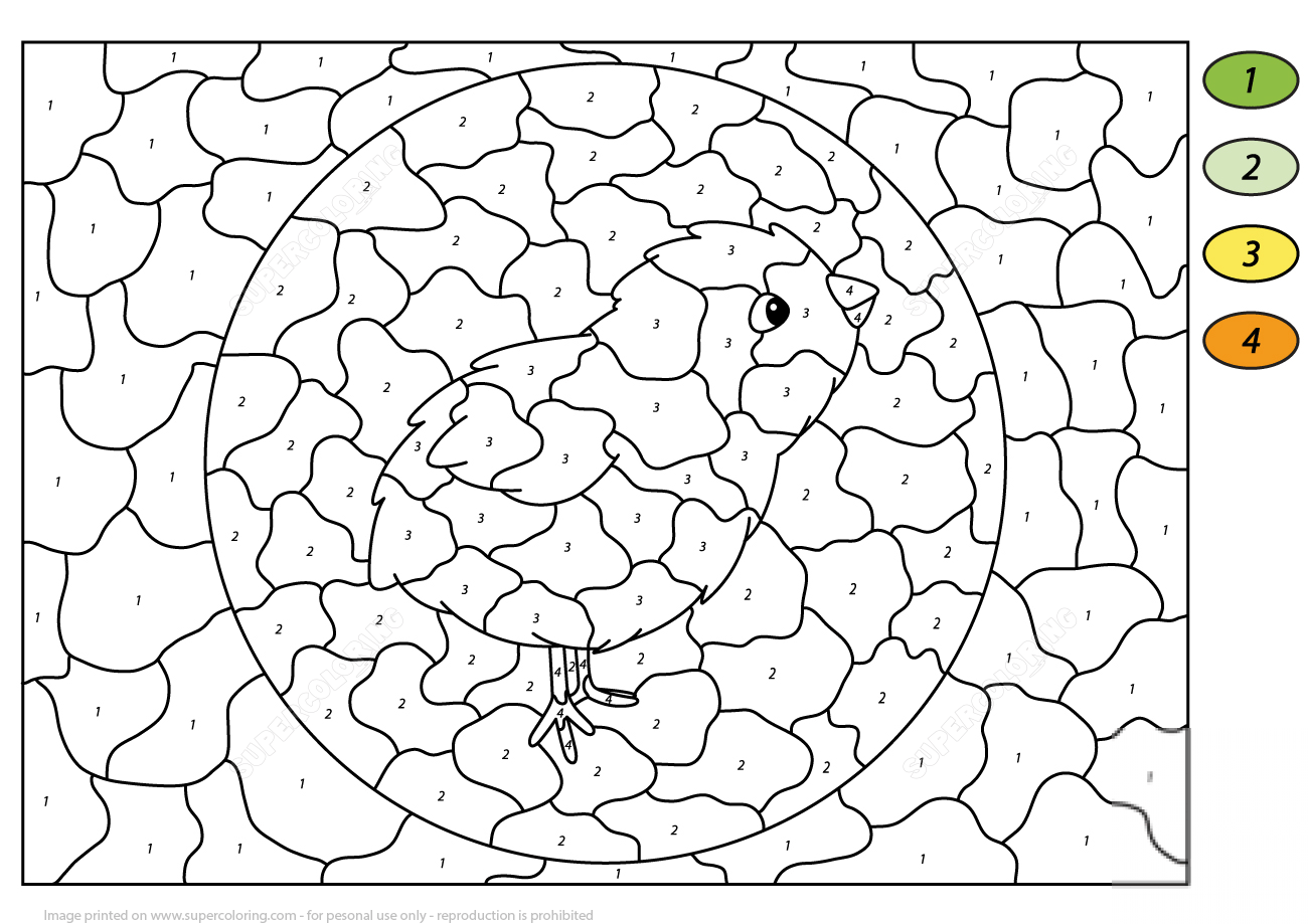 Chick Color by Number