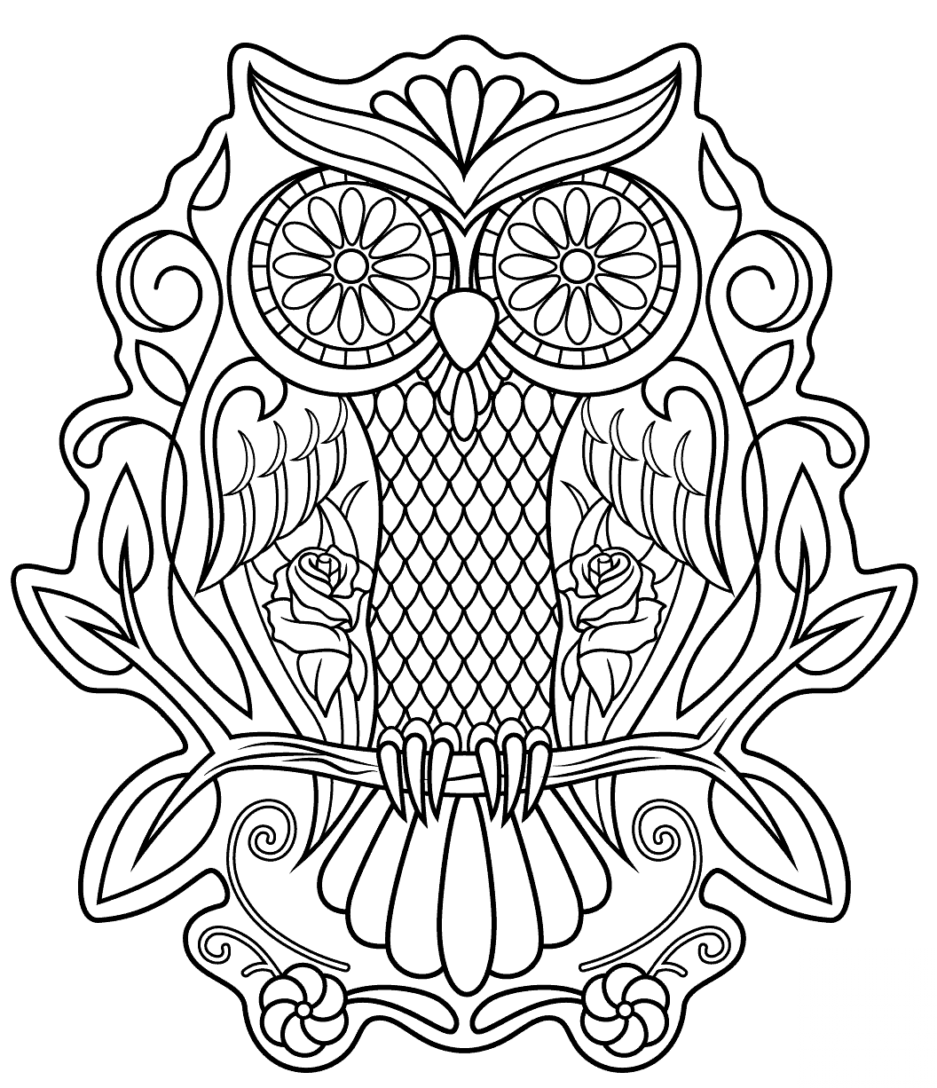 Sugar Skull Owl