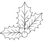 Xmas Holly