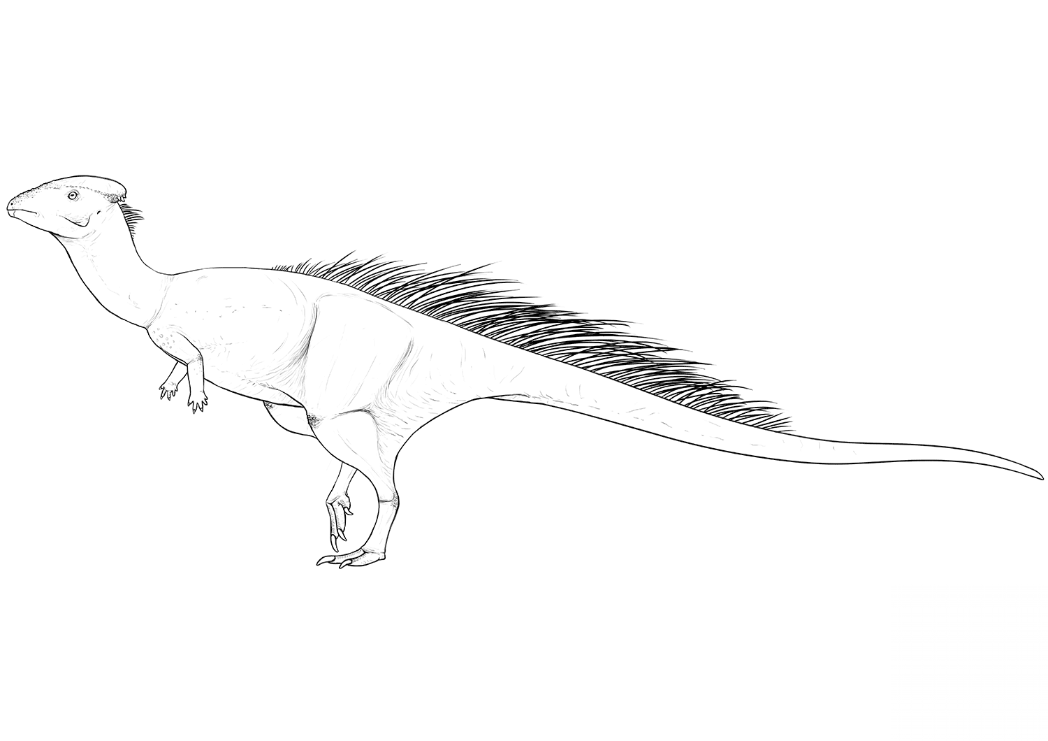 Wannanosaurus