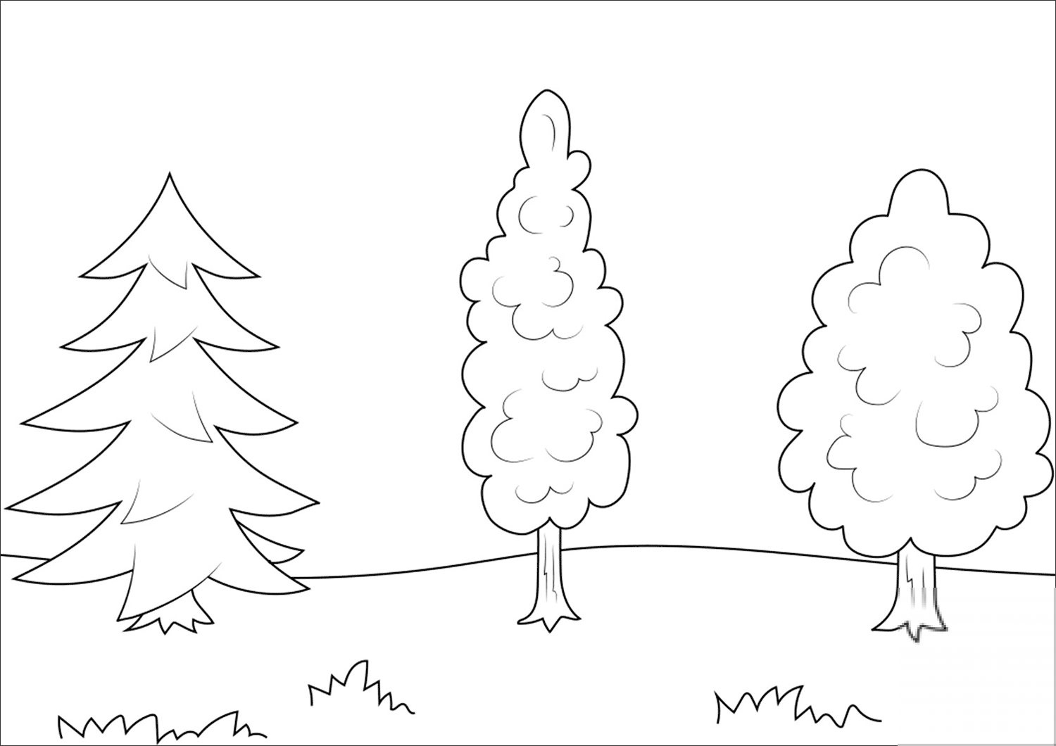 Trees