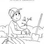 Plant a Tree for Our Planet