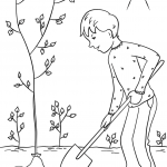 Boy Planting a Tree