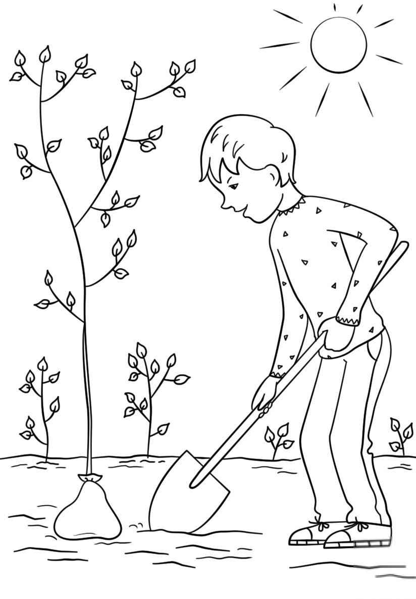 Boy Planting a Tree